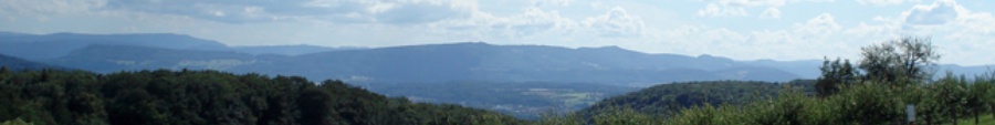 le-foerderberater.at